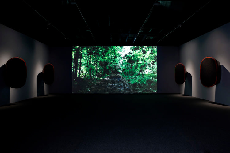 Laurent Grasso Sean Kelly Gallery