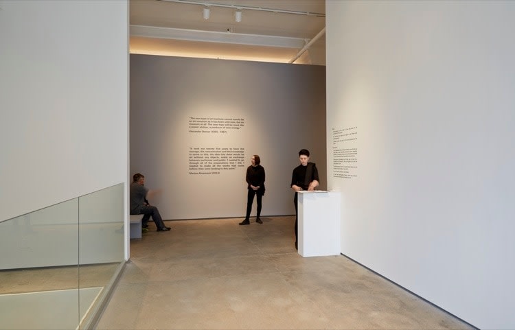 Marina Abramovic Sean Kelly Gallery