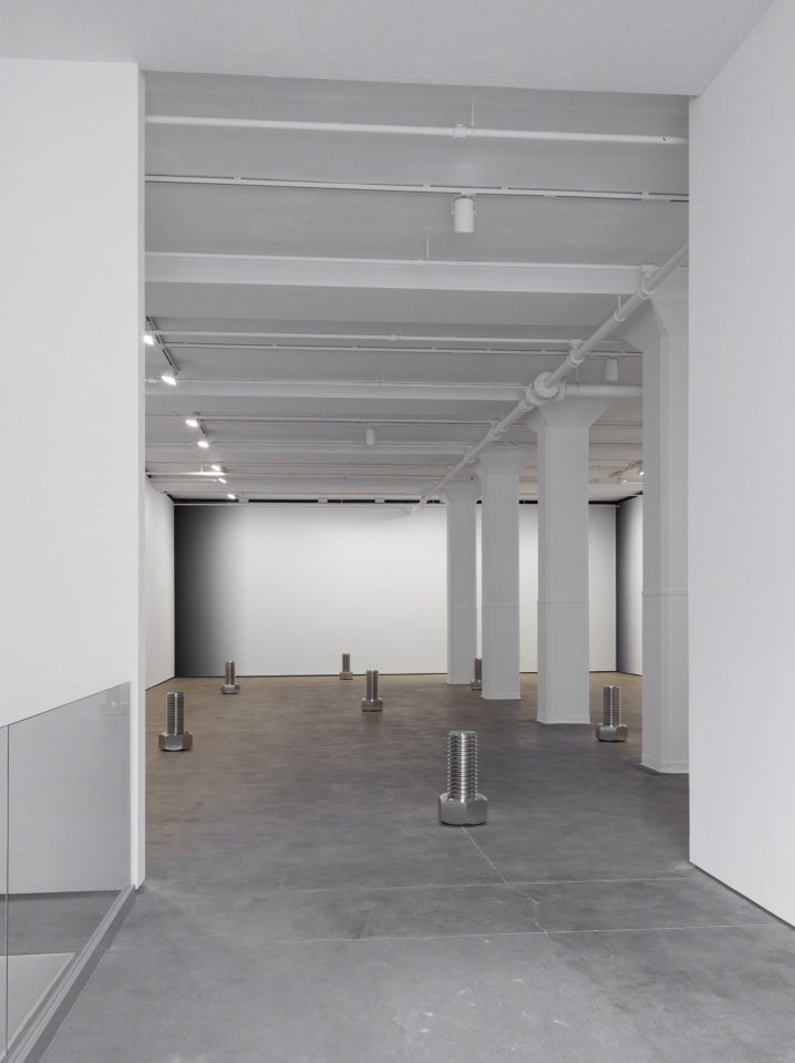 Iran do Esp&iacute;rito Santo Sean Kelly Gallery