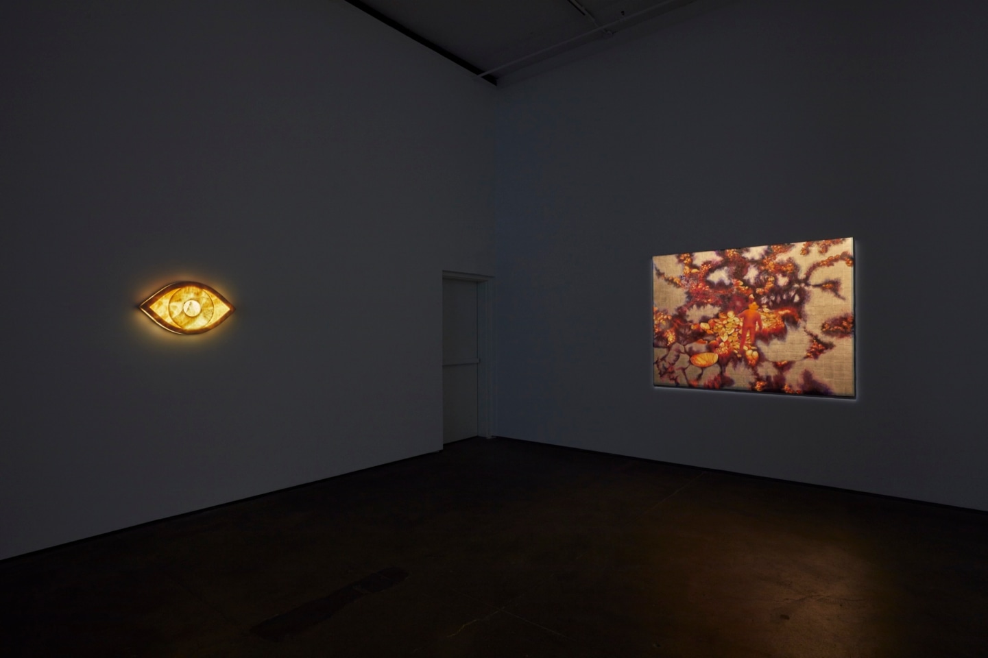 Installation view of Laurent Grasso: OttO at Sean Kelly, New York