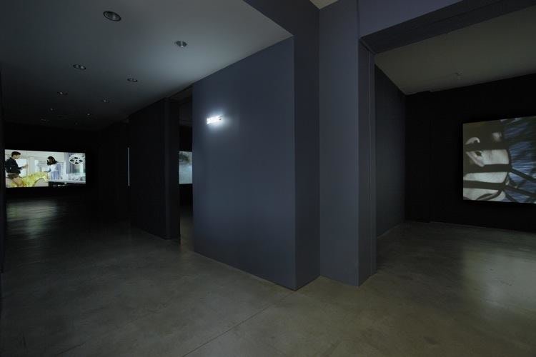 Disruptive Desires Sean Kelly Gallery