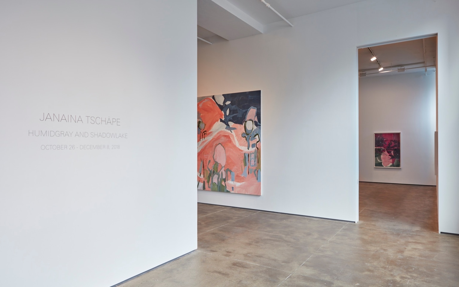 Installation view of Janaina Tsch&auml;pe: HumidGray and ShadowLake at Sean Kelly, New York