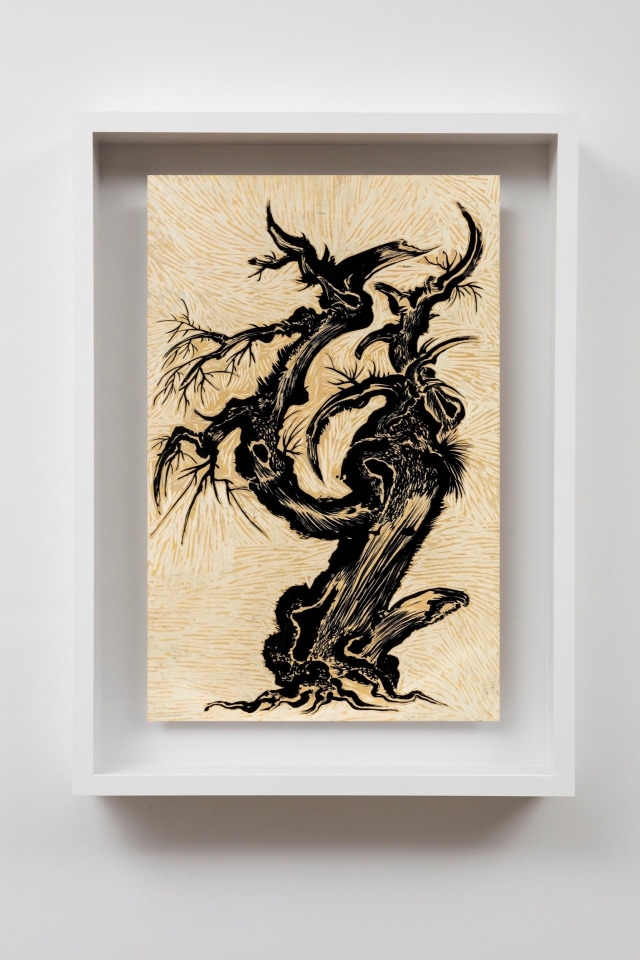 Sun Xun Sean Kelly Gallery