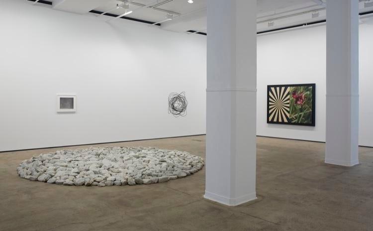 On Nature Sean Kelly Gallery