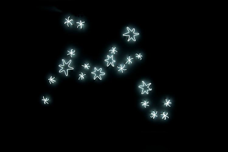 Laurent Grasso Sean Kelly Gallery