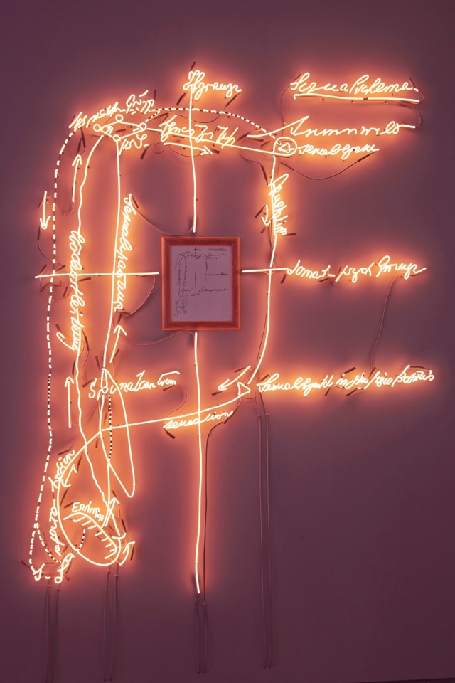 'Agnosia, an Illuminated Ontology' Sean Kelly Gallery