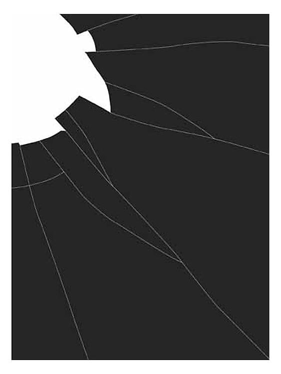 Iran do Espirito Santo Sean Kelly Gallery