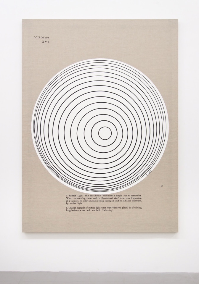 Jose Dávila Sean Kelly Gallery