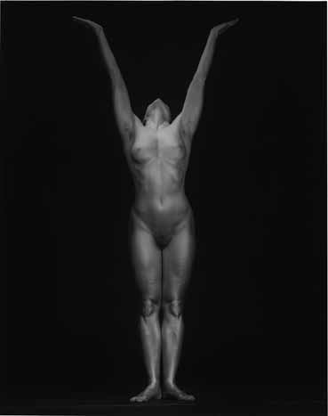 Robert Mapplethorpe Sean Kelly Gallery
