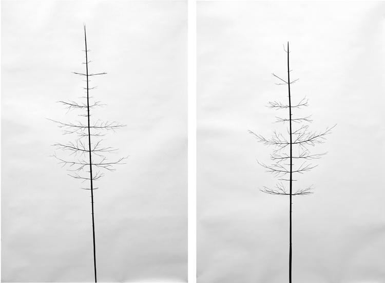 Peter Liversidge Sean Kelly Gallery