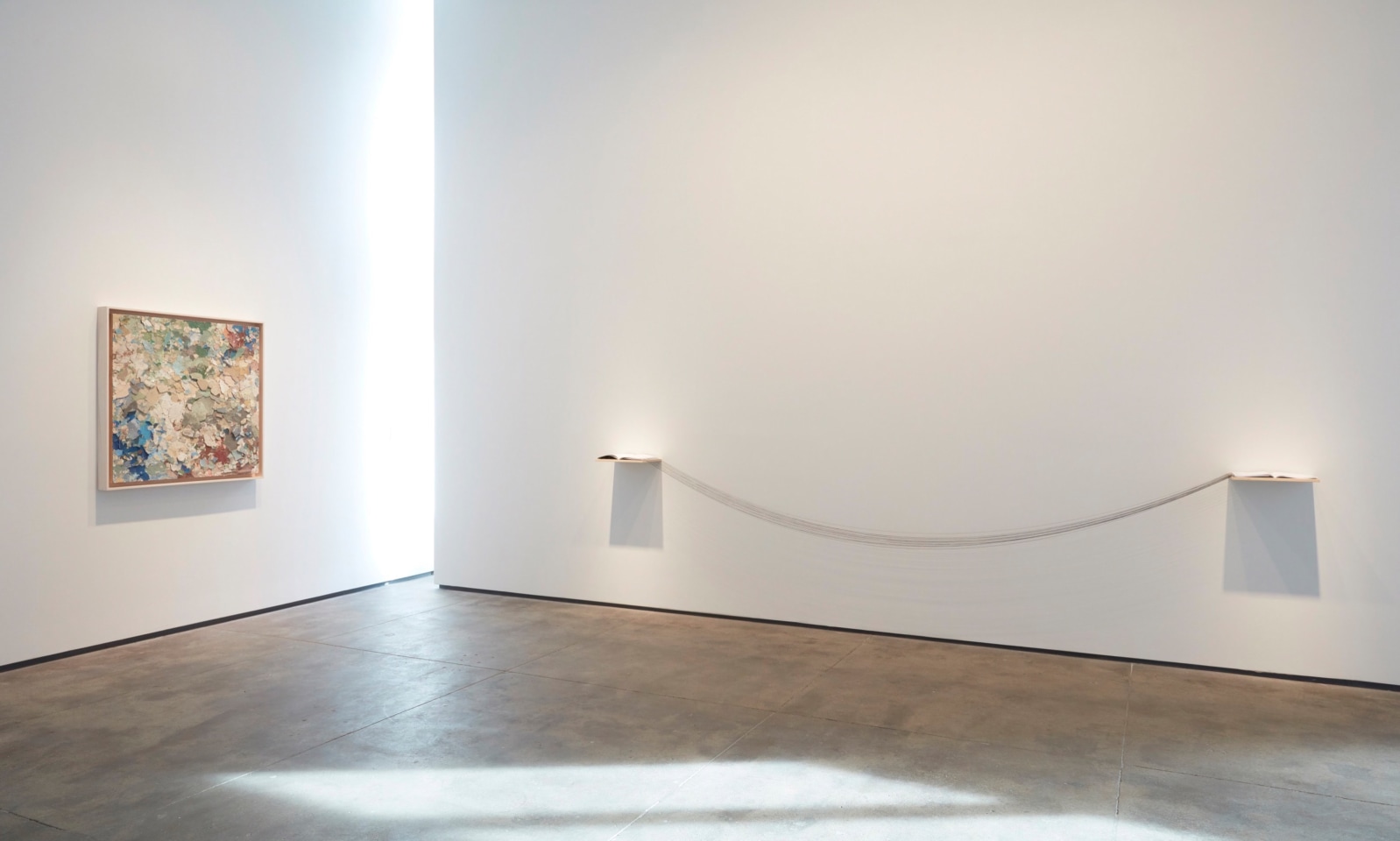 Diana Fonseca Quinones Sean Kelly Gallery