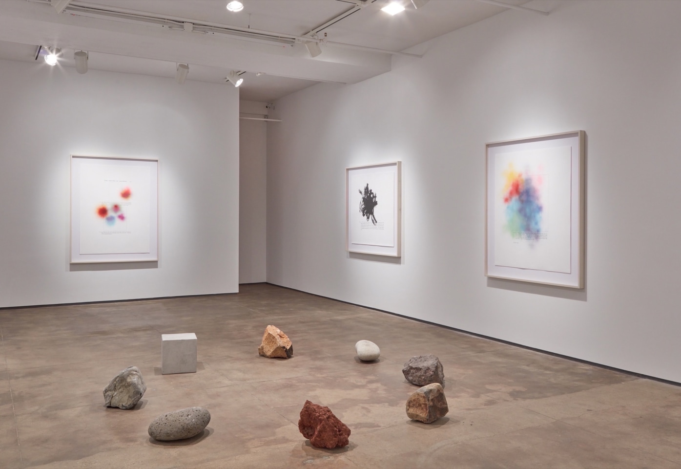 Jose D&aacute;vila Sean Kelly Gallery