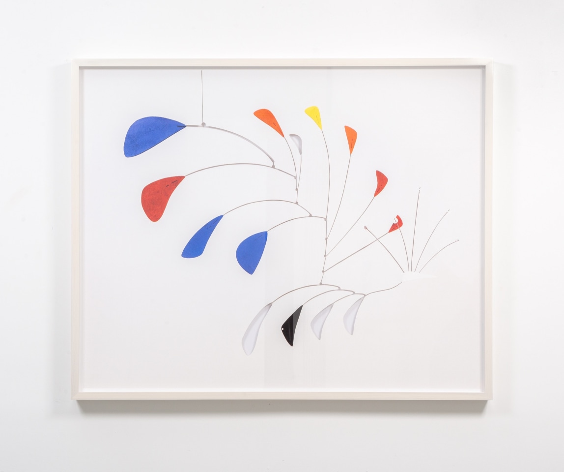 JOSE DAVILA, Untitled (Peacock), 2018