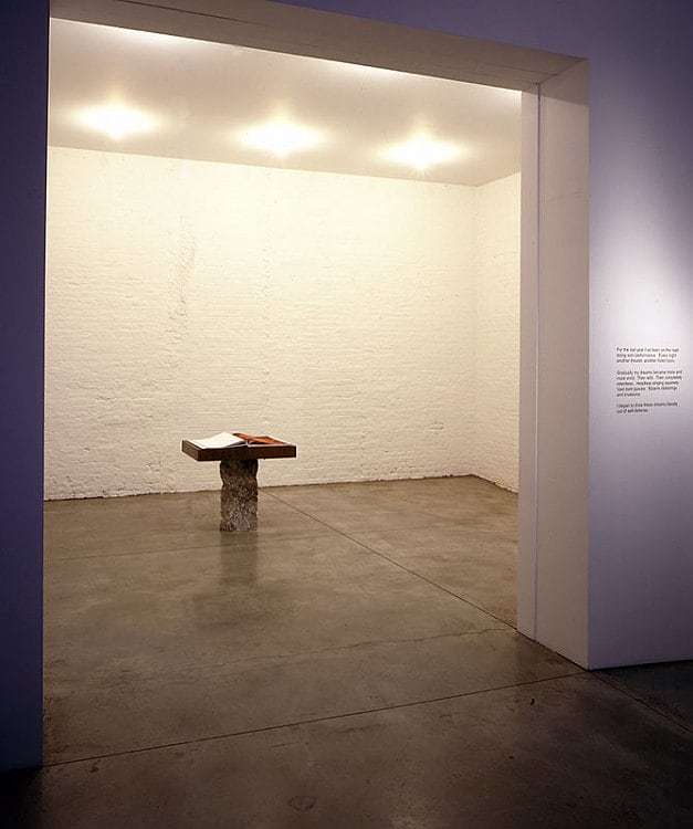 Laurie Anderson Sean Kelly Gallery