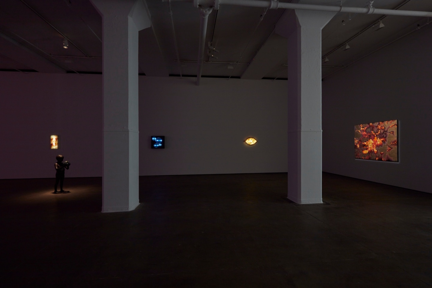 Installation view of Laurent Grasso: OttO at Sean Kelly, New York