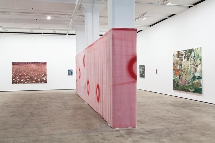 Meshes of the Afternoon Sean Kelly Gallery