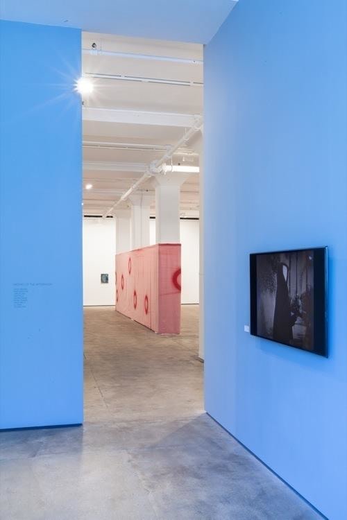 Meshes of the Afternoon Sean Kelly Gallery