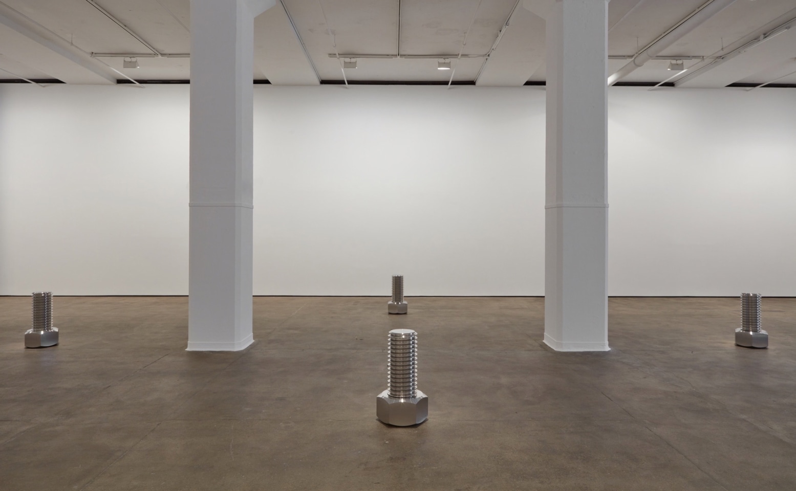 Iran do Esp&iacute;rito Santo Sean Kelly Gallery