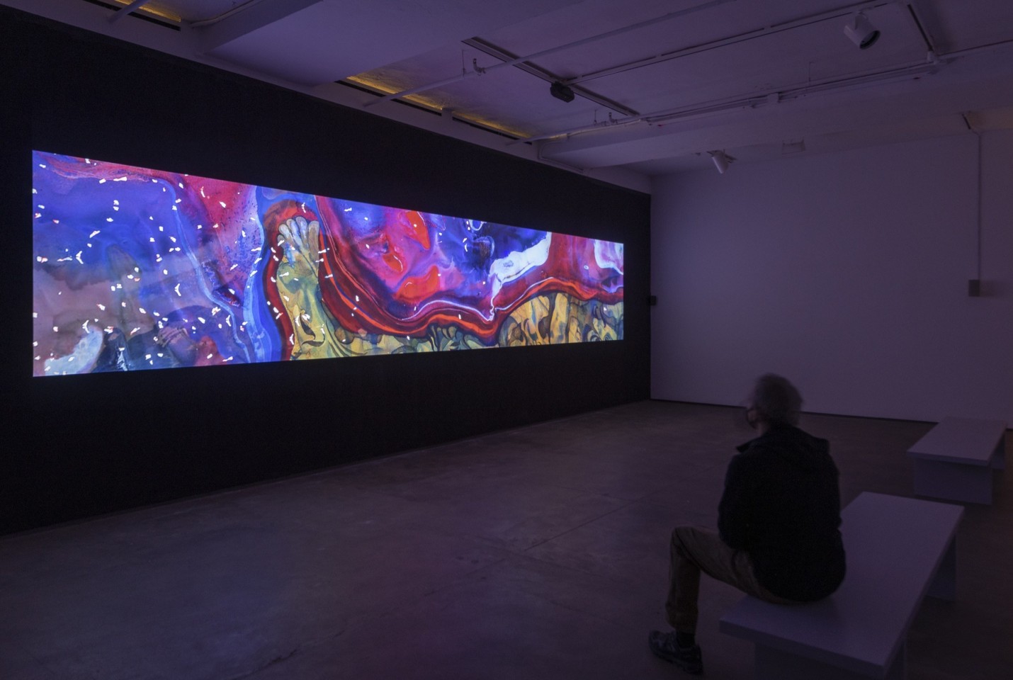 Installation view of Shahzia Sikander: Weeping Willows, Liquid Tongues at Sean Kelly, New York