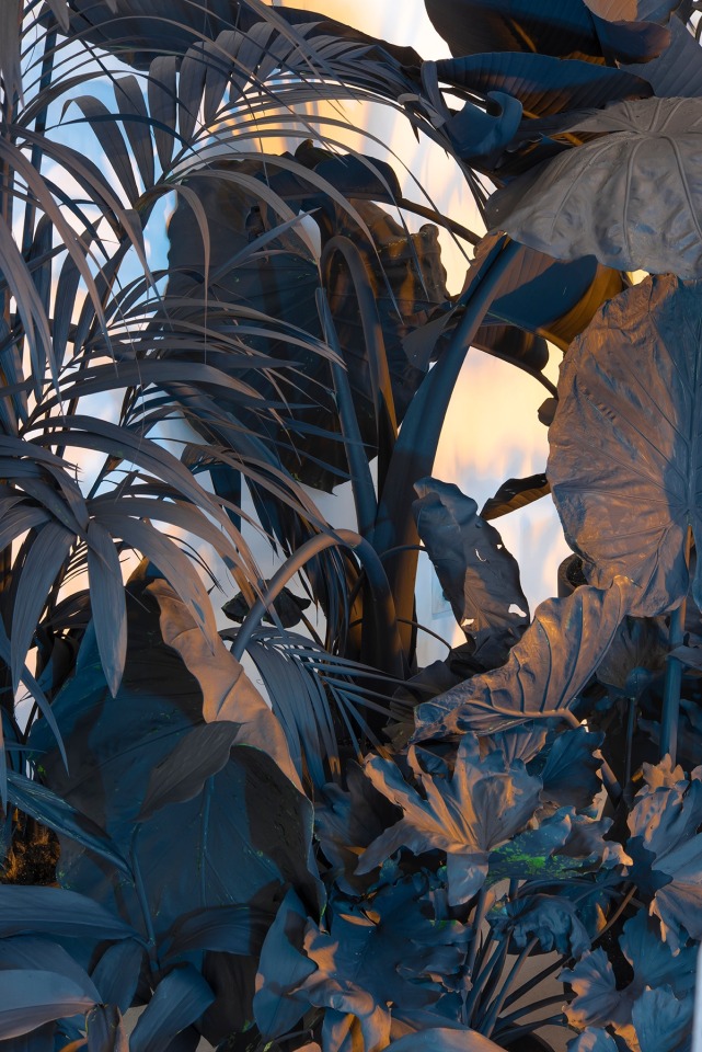 Andrew Dadson Painted Plants, 2015