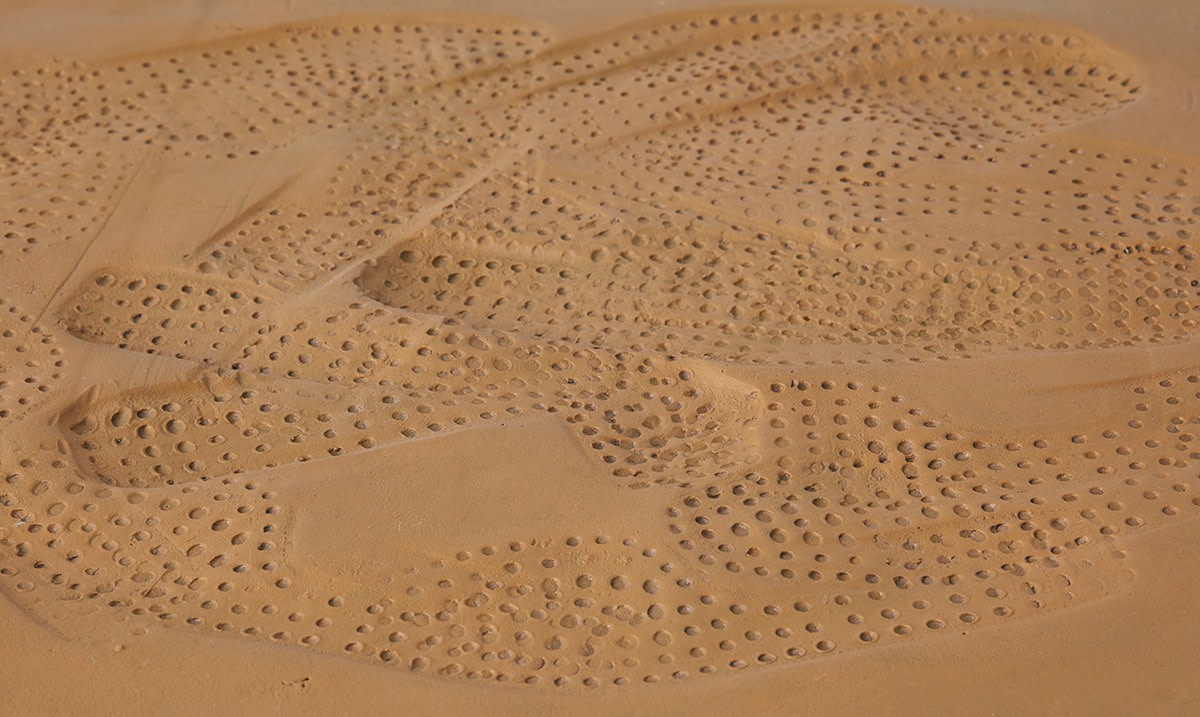 Two moccasins one dance, 2016