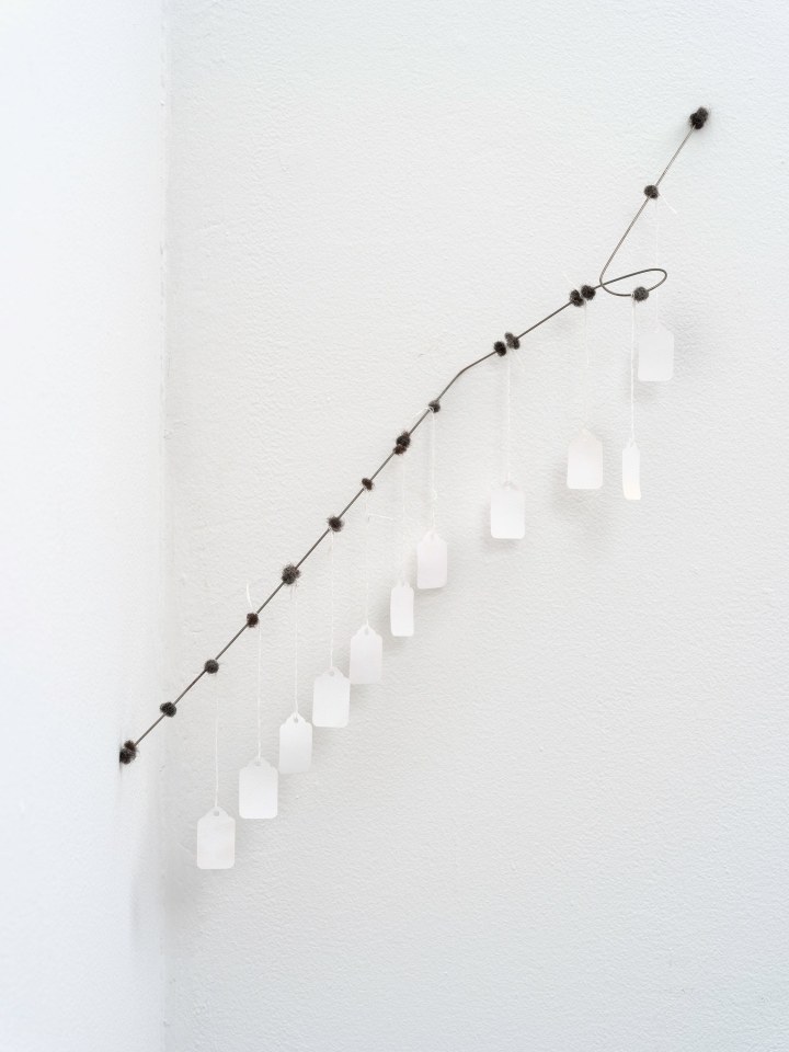 Clifford Owens, (Hair and Wire, Venice Beach &amp;amp; Tag Sale), 2016