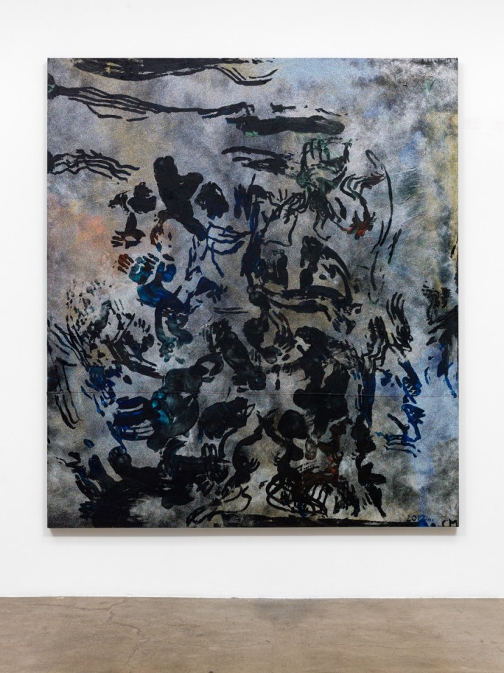 Chris Martin American Museum of Natural History, 2012