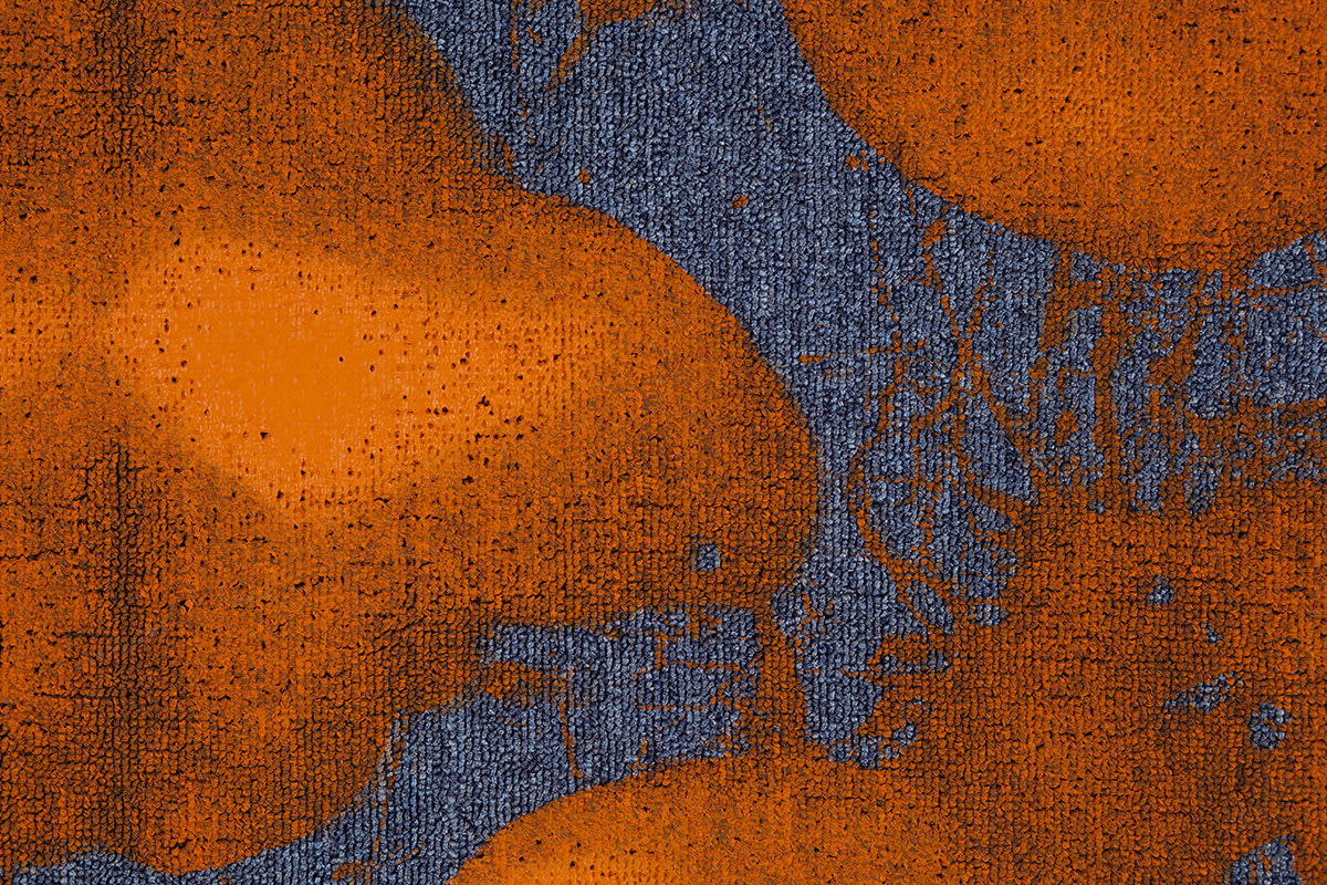 Mai-Thu Perret Migraine IV, 2010