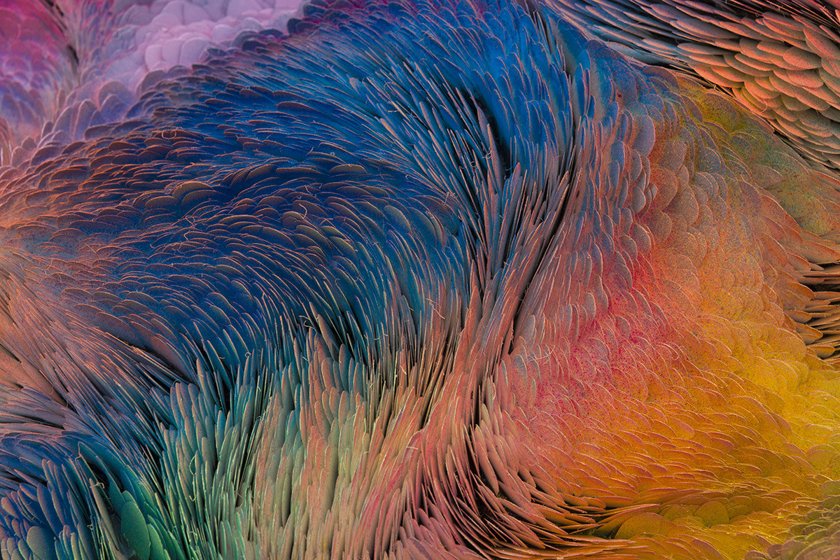 Mindy Shapero, Night Pieces, Off with his head, 2013 - 2018 (detail)