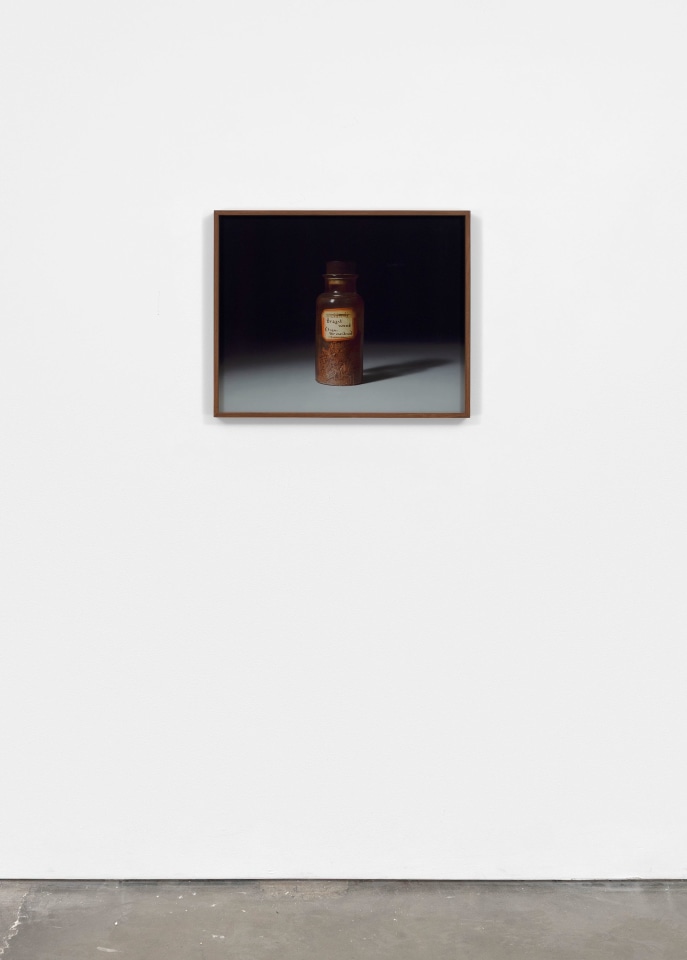 Rose Salane, Brazilwood, 2025