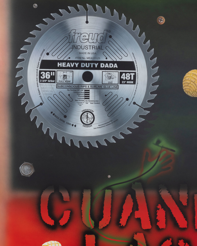 Mario Ayala, When Frogs Grow Hair, 2023