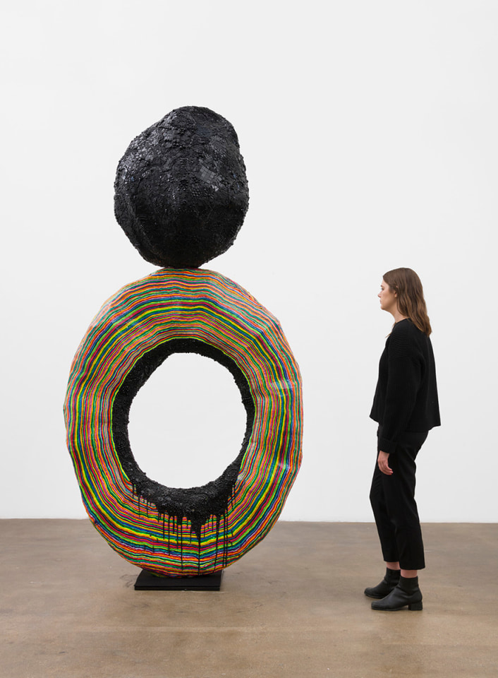 Mindy Shapero, Night Pieces, The lost unseeing eye, 2013 - 2018