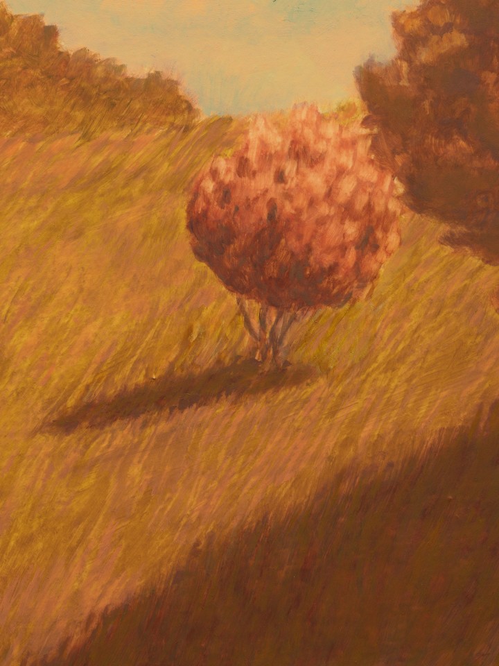 Jared Buckhiester, A short youth was mine., 2025