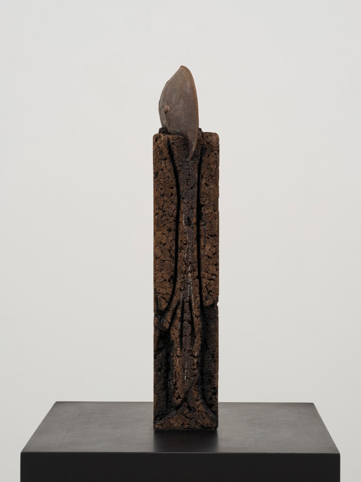 Huma Bhabha, Professor, 2022