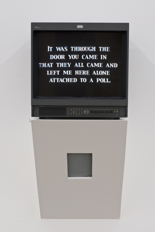 Laure Prouvost Burrow Me, 2009