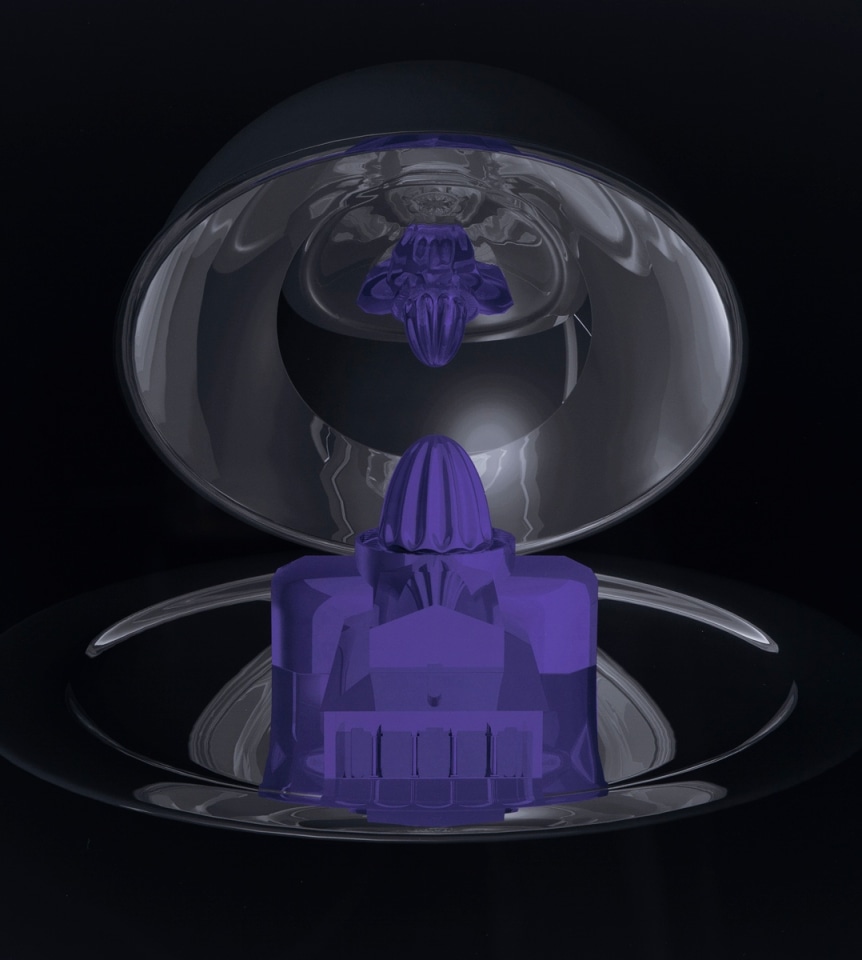 Pietro Roccasalva Violet Fisheye (Il Traviatore), 2011