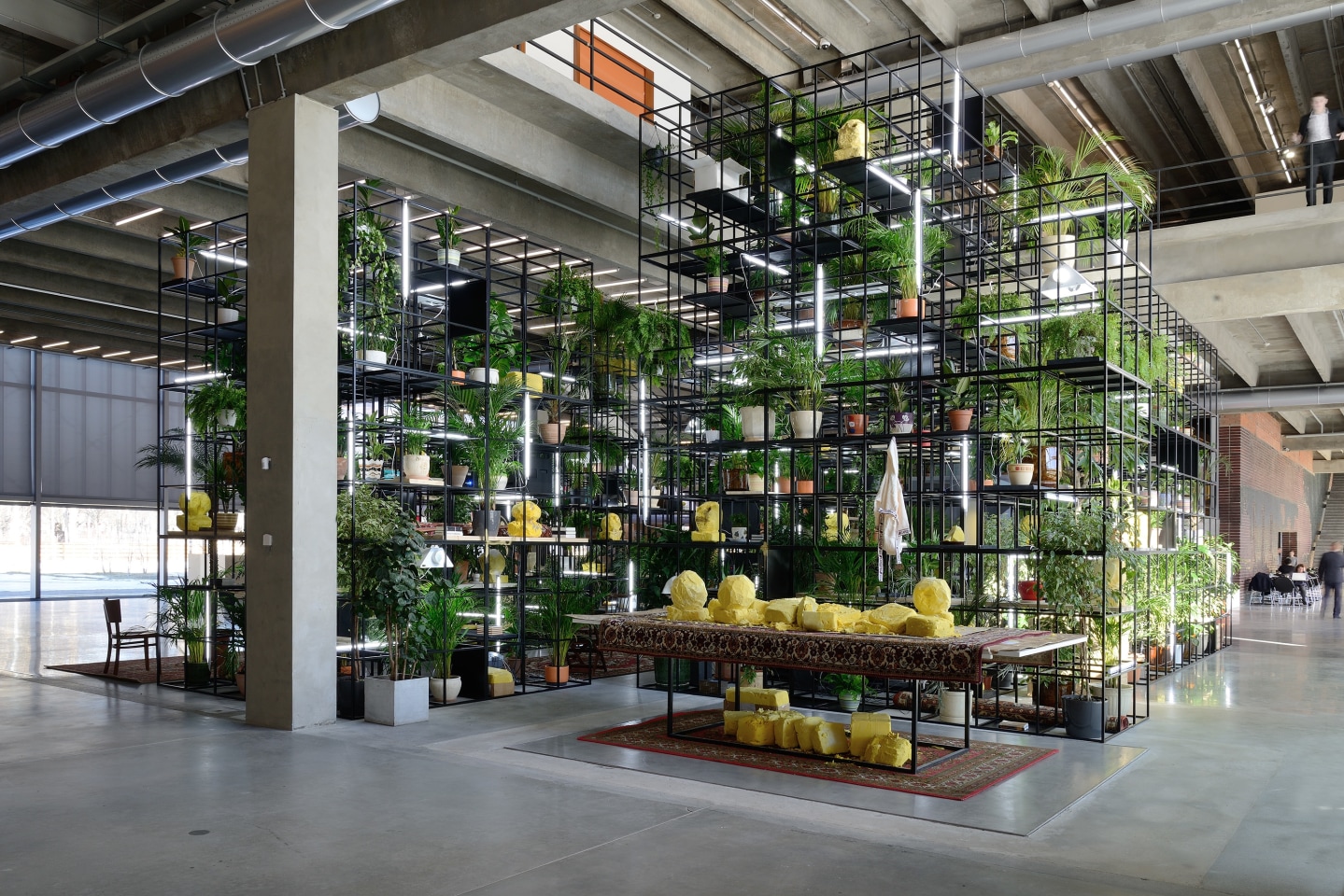 Rashid Johnson