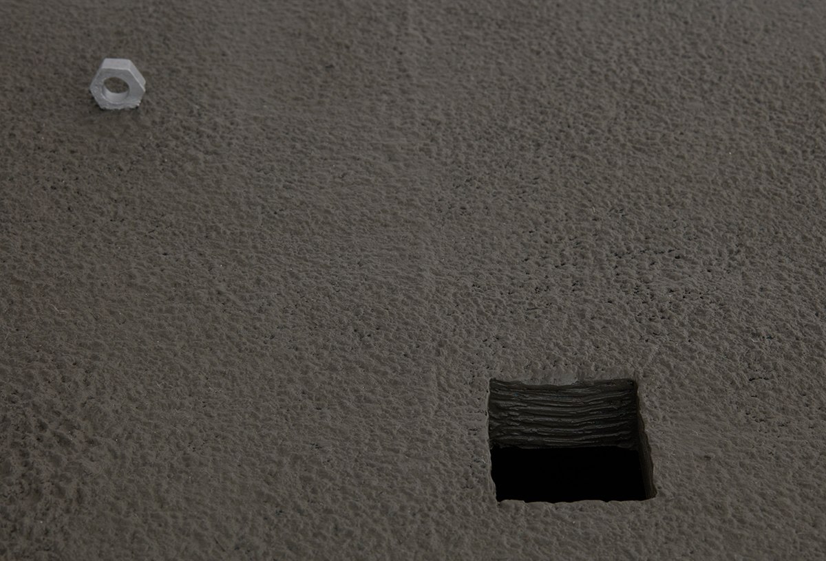 A nut a hollow, 2016