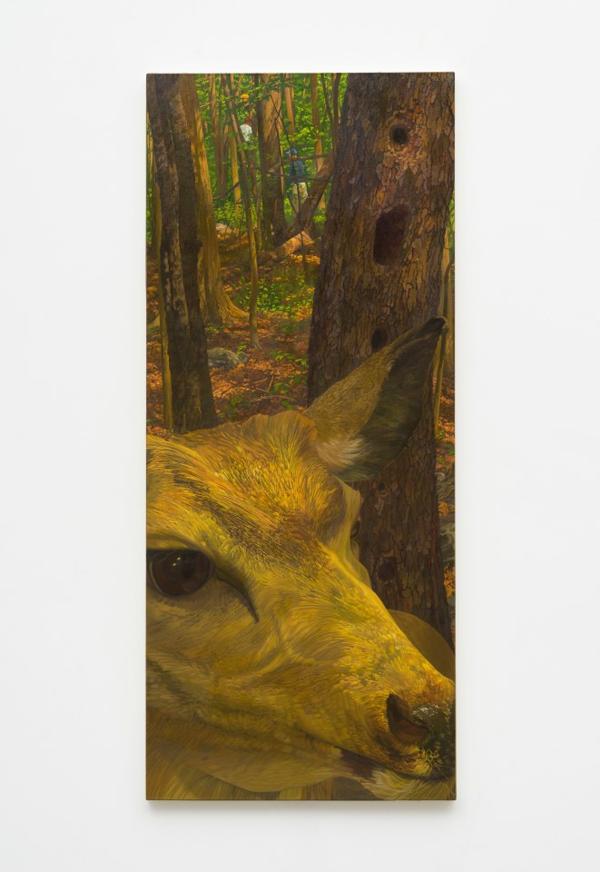 Catherine Murphy, Coming or Going, 2010