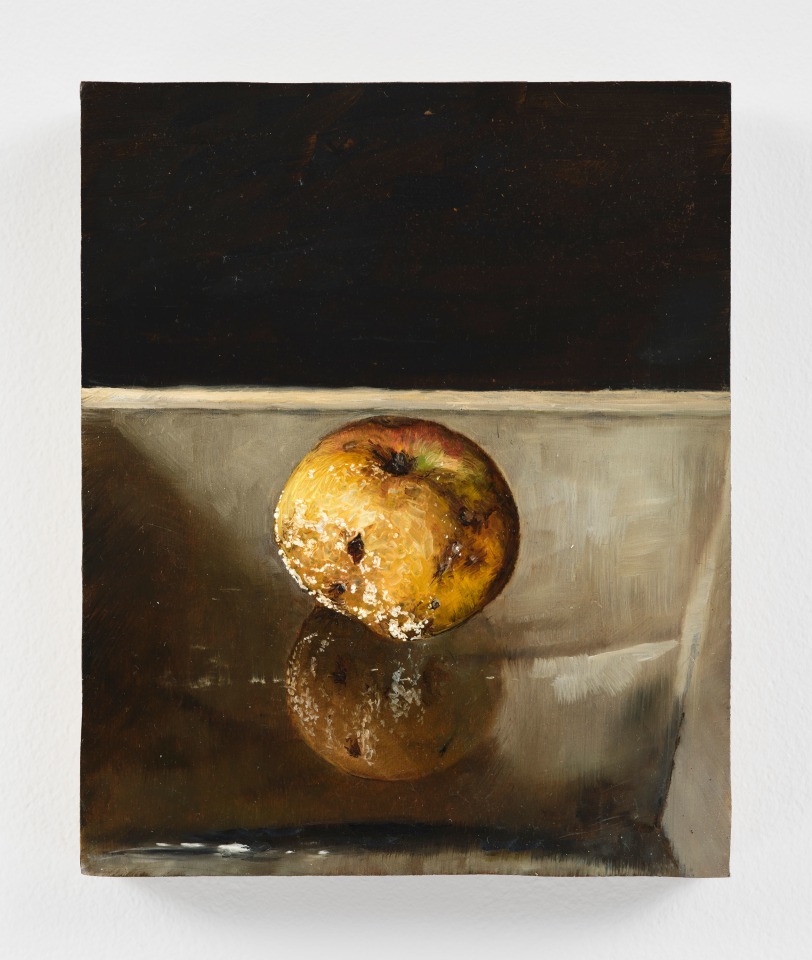 Karol Palczak, Gnijące jabłko na szybie, 2024