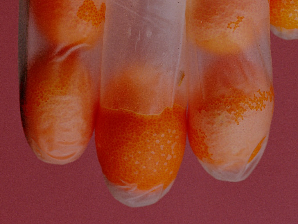 Torbj&oslash;rn R&oslash;dland, Citrus Glove no. 2, 2021