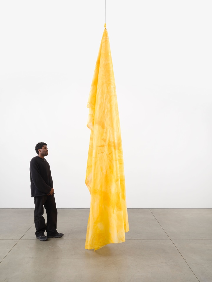 Sam Gilliam, Untitled, 2018