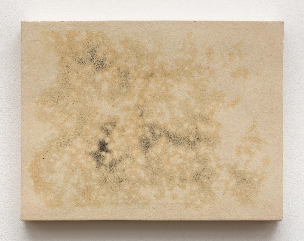 Mai-Thu Perret Morning comes, everywhere&rsquo;s the same, rain on a thousand houses, 2014