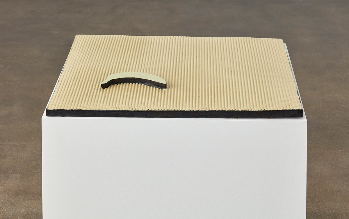 A ripple a banana, 2016