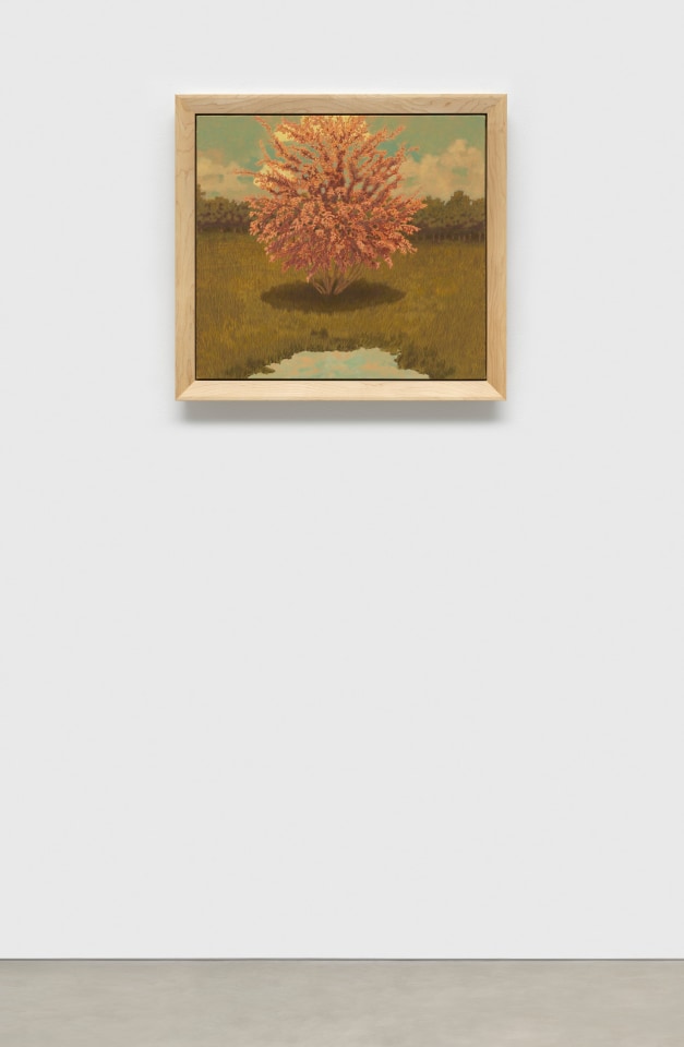 Jared Buckhiester, Thus it happened., 2025