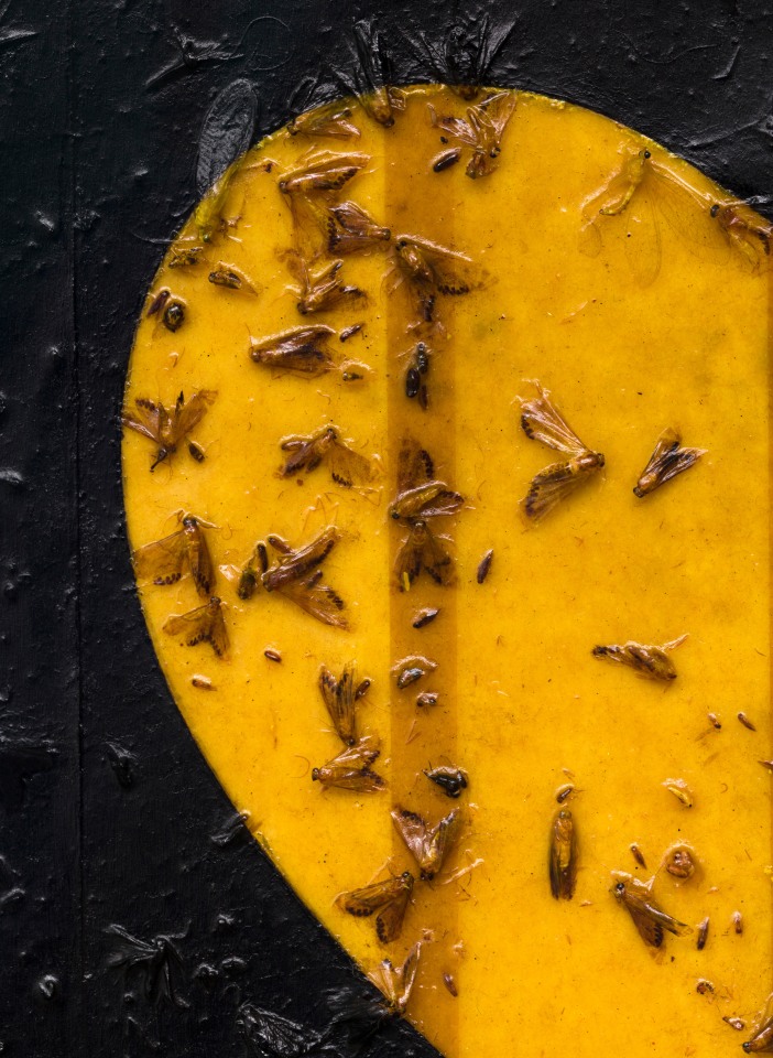 Linda Stark ​Fly Paper Heart, 2014