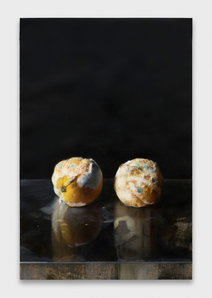 Karol Palczak, Gnijące pomarańcze, 2025