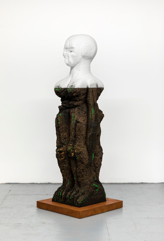 Huma Bhabha Philosophical Extremist, 2019