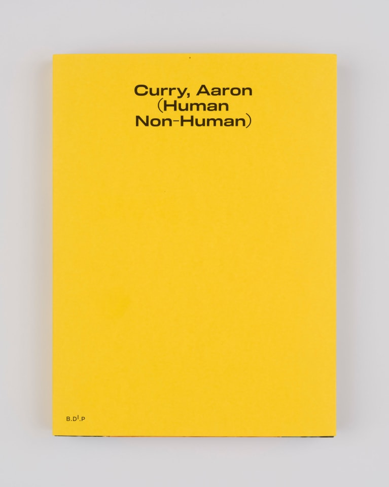 Aaron Curry