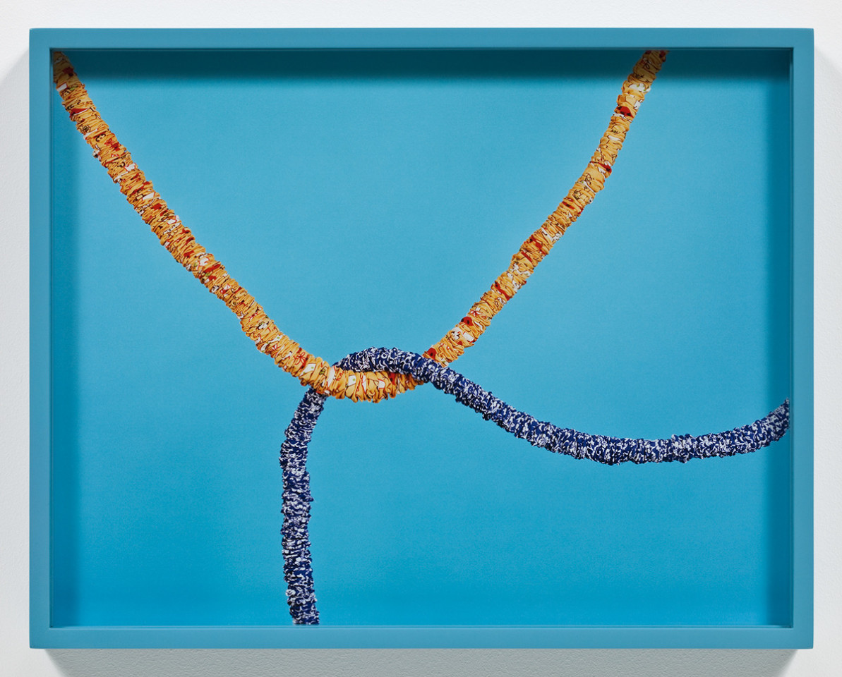 Elad Lassry Ropes, 2009